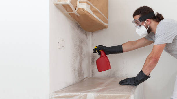 Professional Black Mold Remediation technician working in Akron, NY