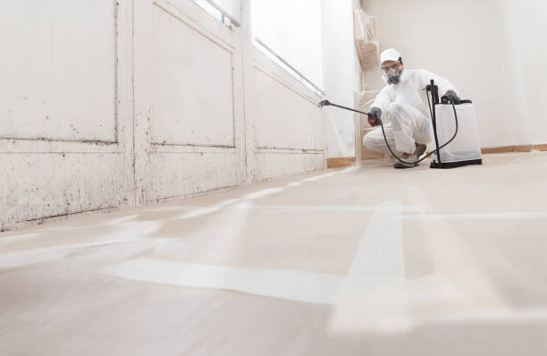 24/7 Emergency Black Mold Remediation experts in Akron, NY